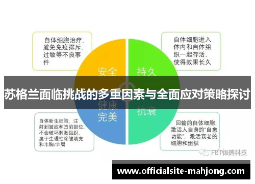 苏格兰面临挑战的多重因素与全面应对策略探讨 苏格兰面临挑战的多重因素与全面应对策略探讨